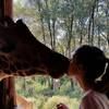 reneesmith7